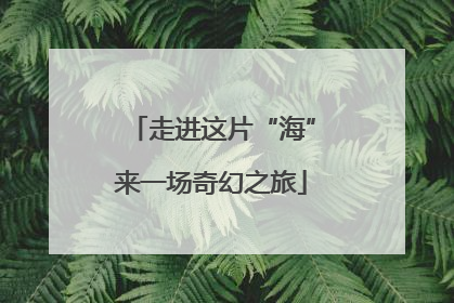 走进这片“海”来一场奇幻之旅