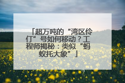 超万吨的“湾区伶仃”号如何移动？工程师揭秘：类似“蚂蚁托大象”