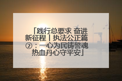 践行总要求 奋进新征程丨执法公正篇②：一心为民铸警魂 热血丹心守平安