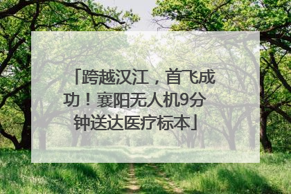 跨越汉江，首飞成功！襄阳无人机9分钟送达医疗标本