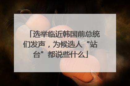 选举临近韩国前总统们发声，为候选人“站台”都说些什么