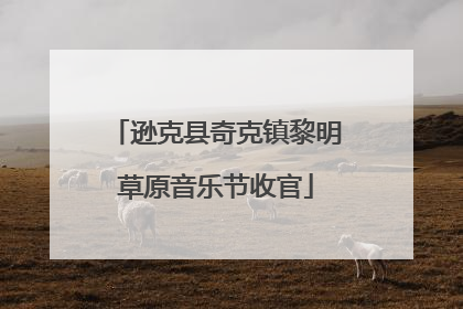 逊克县奇克镇黎明草原音乐节收官