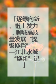 逐绿向新、链上发力，聊城高质量发展“提级换挡”——江北水城“焕新”记