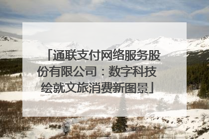 通联支付网络服务股份有限公司：数字科技绘就文旅消费新图景