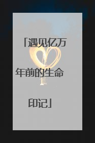 遇见亿万年前的生命印记
