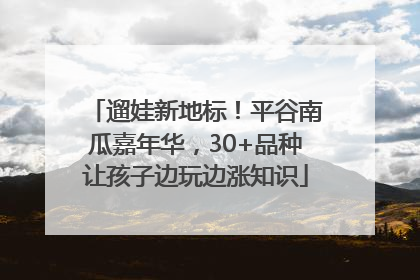 遛娃新地标！平谷南瓜嘉年华，30+品种让孩子边玩边涨知识