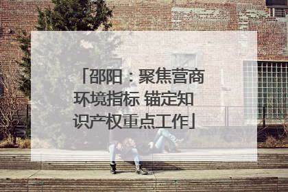 邵阳：聚焦营商环境指标 锚定知识产权重点工作