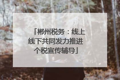 郴州税务：线上线下共同发力推进个税宣传辅导