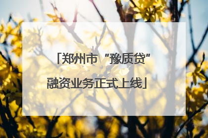 郑州市“豫质贷”融资业务正式上线