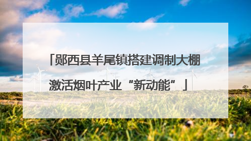 郧西县羊尾镇搭建调制大棚激活烟叶产业“新动能”