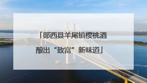 郧西县羊尾镇樱桃酒酿出“致富”新味道