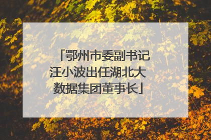 鄂州市委副书记汪小波出任湖北大数据集团董事长