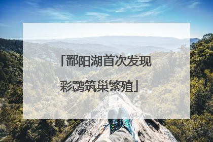 鄱阳湖首次发现彩鹮筑巢繁殖