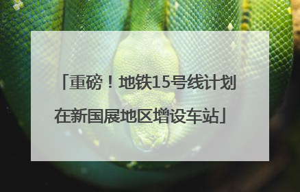 重磅！地铁15号线计划在新国展地区增设车站