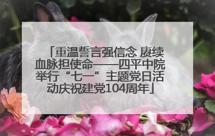 重温誓言强信念 赓续血脉担使命——四平中院举行“七一”主题党日活动庆祝建党104周年