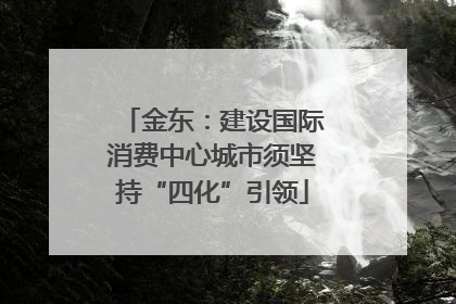 金东：建设国际消费中心城市须坚持“四化”引领