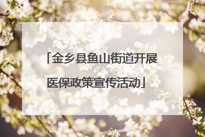 金乡县鱼山街道开展医保政策宣传活动