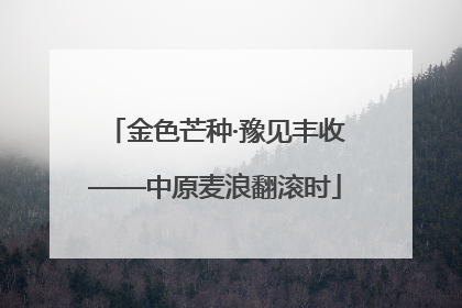 金色芒种·豫见丰收——中原麦浪翻滚时