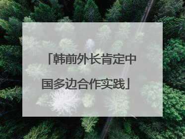 韩前外长肯定中国多边合作实践