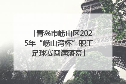 青岛市崂山区2025年“崂山湾杯”职工足球赛圆满落幕