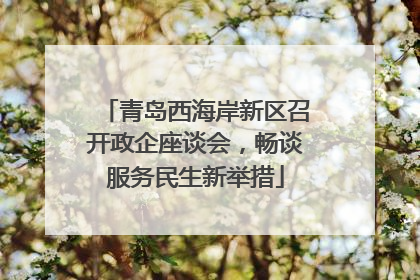 青岛西海岸新区召开政企座谈会，畅谈服务民生新举措