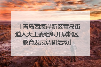 青岛西海岸新区黄岛街道人大工委组织开展辖区教育发展调研活动