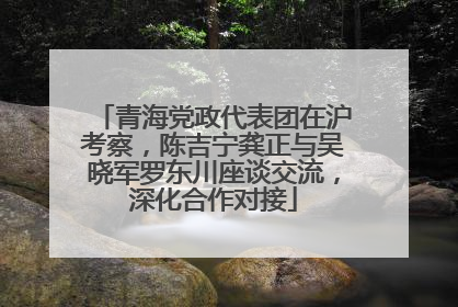 青海党政代表团在沪考察，陈吉宁龚正与吴晓军罗东川座谈交流，深化合作对接