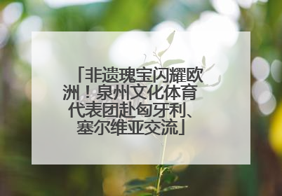 非遗瑰宝闪耀欧洲！泉州文化体育代表团赴匈牙利、塞尔维亚交流