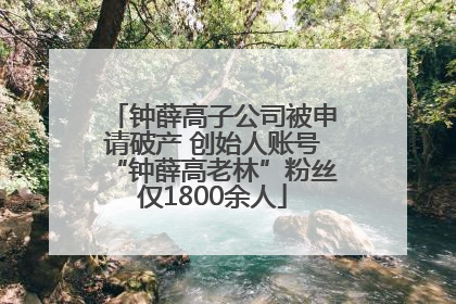 钟薛高子公司被申请破产 创始人账号“钟薛高老林”粉丝仅1800余人