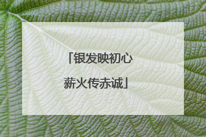 银发映初心 薪火传赤诚