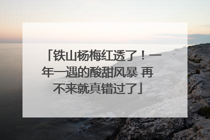 铁山杨梅红透了！一年一遇的酸甜风暴 再不来就真错过了