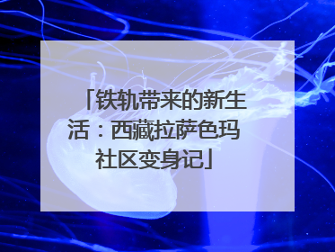 铁轨带来的新生活：西藏拉萨色玛社区变身记