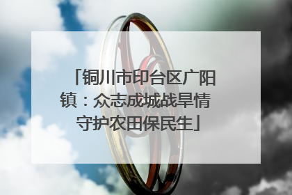 铜川市印台区广阳镇：众志成城战旱情 守护农田保民生