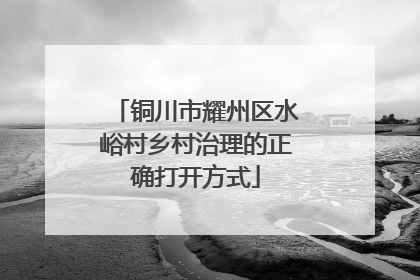 铜川市耀州区水峪村乡村治理的正确打开方式