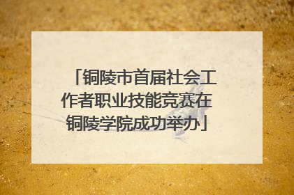 铜陵市首届社会工作者职业技能竞赛在铜陵学院成功举办