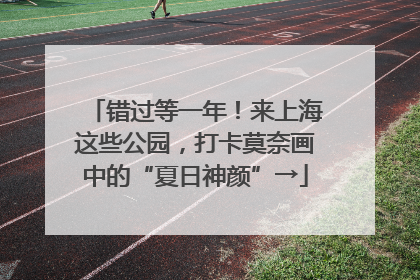 错过等一年！来上海这些公园，打卡莫奈画中的“夏日神颜”→