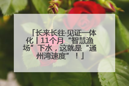 长来长往·见证一体化丨11个月“智慧渔场”下水，这就是“通州湾速度”！