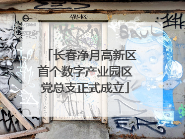 长春净月高新区首个数字产业园区党总支正式成立