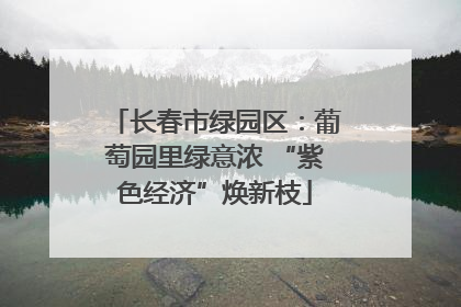长春市绿园区：葡萄园里绿意浓 “紫色经济”焕新枝