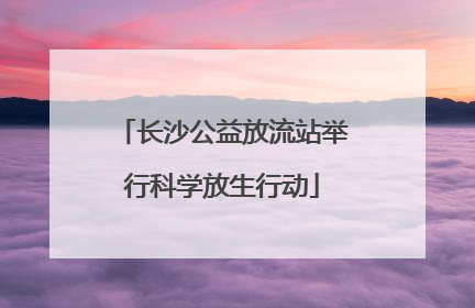 长沙公益放流站举行科学放生行动