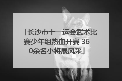 长沙市十一运会武术比赛少年组热血开赛 360余名小将展风采