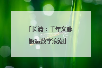 长清：千年文脉邂逅数字浪潮