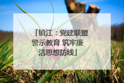 镇江：党建联盟警示教育 筑牢廉洁思想防线