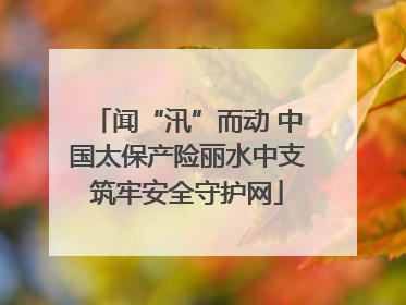 闻“汛”而动 中国太保产险丽水中支筑牢安全守护网