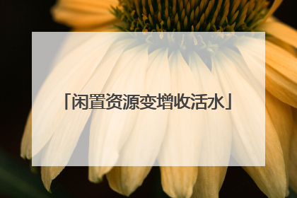 闲置资源变增收活水