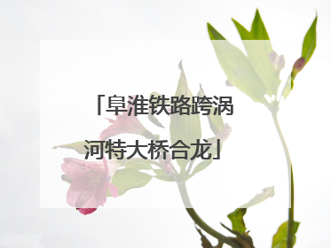 阜淮铁路跨涡河特大桥合龙