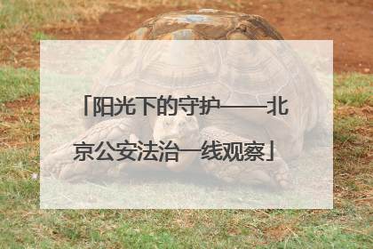 阳光下的守护——北京公安法治一线观察
