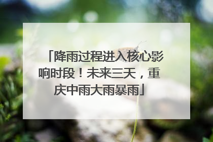 降雨过程进入核心影响时段！未来三天，重庆中雨大雨暴雨