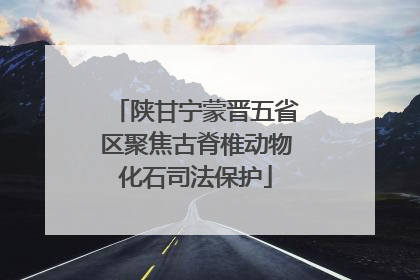 陕甘宁蒙晋五省区聚焦古脊椎动物化石司法保护