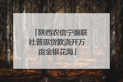 陕西农信宁强联社普惠贷款浇开万亩金银花海